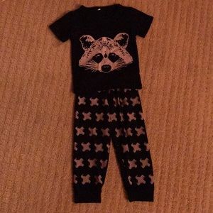 Adorable Raccoon outfit.  9-12 months.